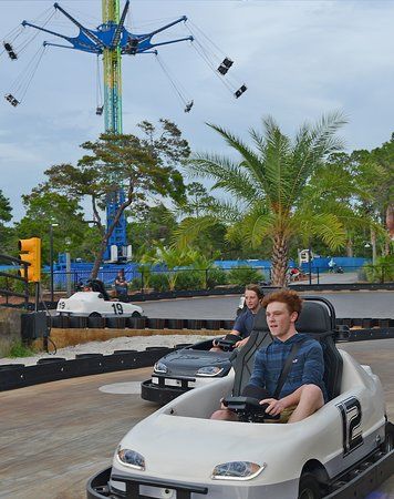 Swampy Jack's Wongo Adventure